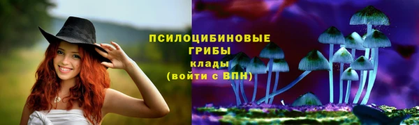 jwh Аркадак