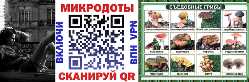 Галлюциногенные грибы Psilocybine cubensis  закладка  Пыть-Ях 